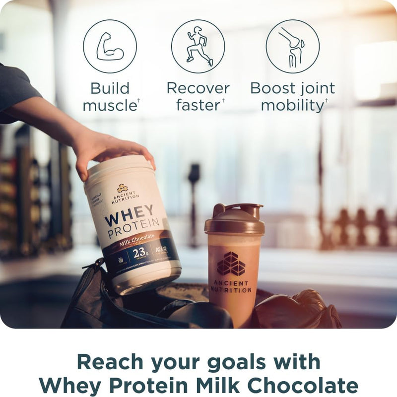 ancient-nutrition-grass-fed-whey-protein-powder-mi-3.jpg