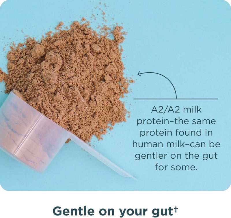 ancient-nutrition-grass-fed-whey-protein-powder-mi-4.jpg