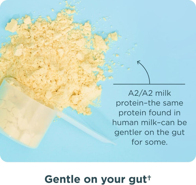 ancient-nutrition-grass-fed-whey-protein-powder-mi-7.jpg