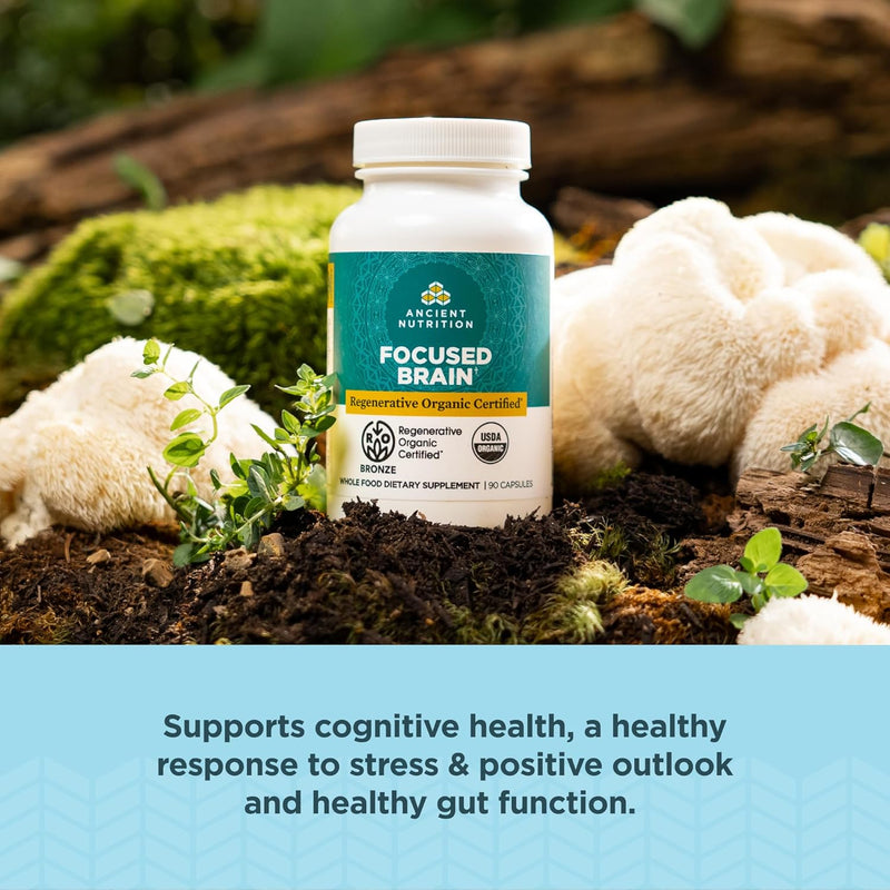 ancient-nutrition-regenerative-organic-certified-focused-brain-capsules-made-with-ginkgo-leaf-lions-mane-to-help-reduce-stress-gluten-free-paleo-and-keto-friendly-90-count-2