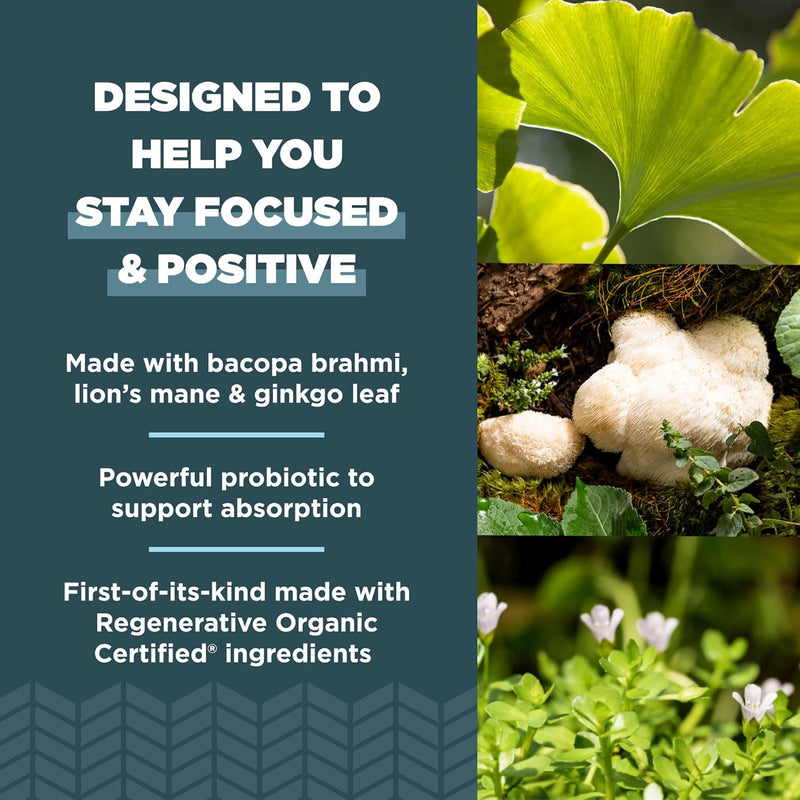 ancient-nutrition-regenerative-organic-certified-focused-brain-capsules-made-with-ginkgo-leaf-lions-mane-to-help-reduce-stress-gluten-free-paleo-and-keto-friendly-90-count-3