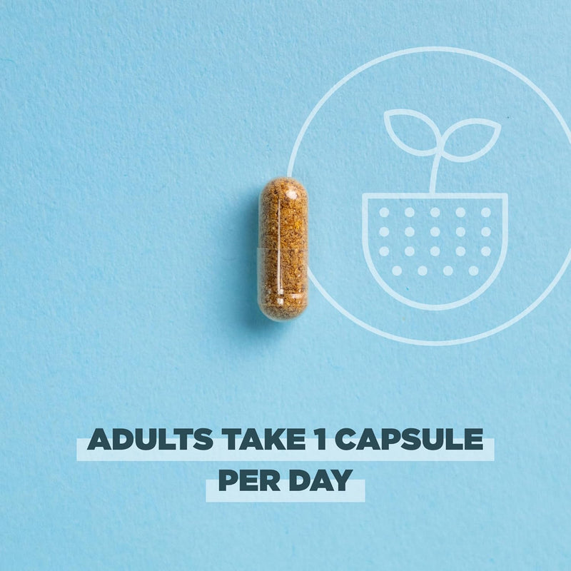 ancient-nutrition-regenerative-organic-certified-probiotics-daily-probiotics-once-daily-healthy-digestion-and-immune-system-function-support-25-billion-cfus-per-serving-30-count-4