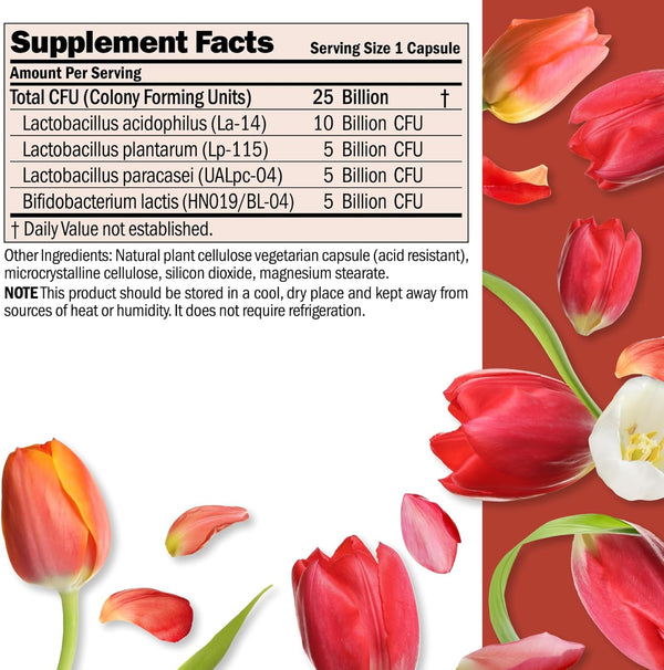 andrew-lessman-ultimate-friendly-flora-probiotic-30-capsules---25-billion-cfu-comprehensive-blend-of-five-probiotic-strains-powerful-immune-and-digestive-support-probiotics-for-women-or-men-1