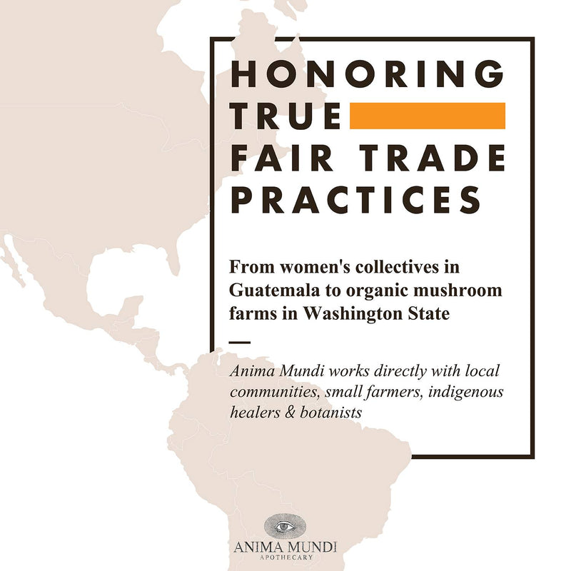 anima-mundi-apothecary-mushroom-mocha-milk---organ-4.jpg