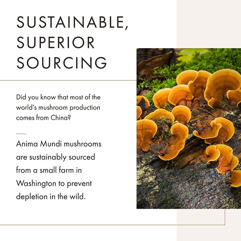 anima-mundi-apothecary-soma-7-mushroom-adaptogenic-2.jpg