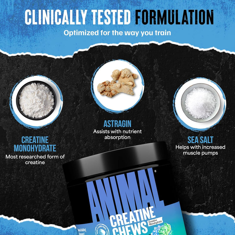 animal-creatine-chews-enhanced-creatine-monohydrat-5.jpg