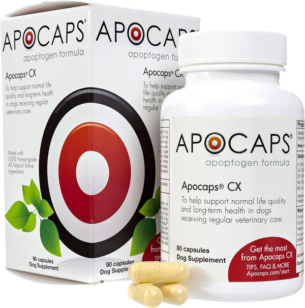 apocaps-cx-apoptogen-formula-for-dogs-90-capsules---supports-normal-levels-of-apoptosis-human-grade-ingredients-including-citrus-bioflavonoids-silymarin-curcumin-and-turmeric-biovadex-1
