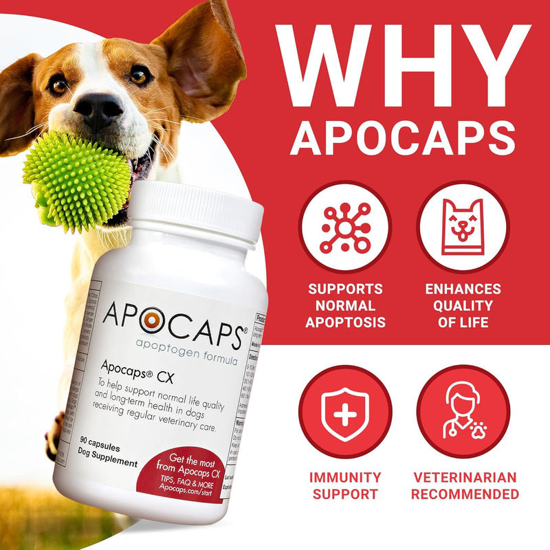 apocaps-cx-apoptogen-formula-for-dogs-90-capsules---supports-normal-levels-of-apoptosis-human-grade-ingredients-including-citrus-bioflavonoids-silymarin-curcumin-and-turmeric-biovadex-2