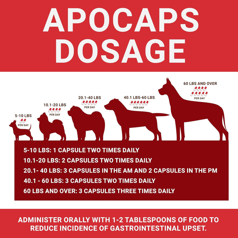 apocaps-cx-apoptogen-formula-for-dogs-90-capsules---supports-normal-levels-of-apoptosis-human-grade-ingredients-including-citrus-bioflavonoids-silymarin-curcumin-and-turmeric-biovadex-4