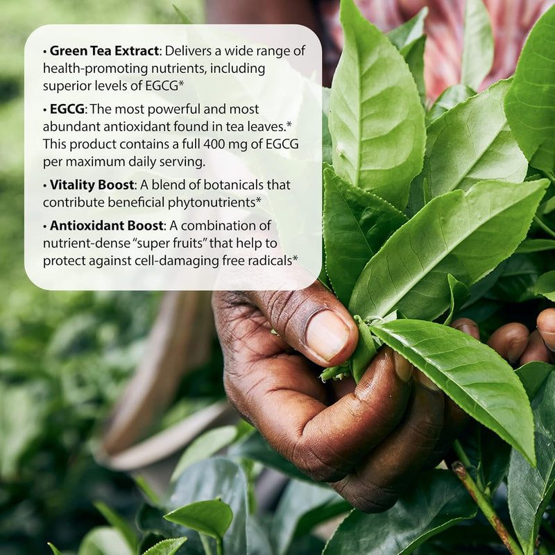 applied-nutrition-green-tea-fat-burner-maximum-strength-with-400-mg-egcg-fast-acting-90-liquid-soft-gels-pack-of-2-3