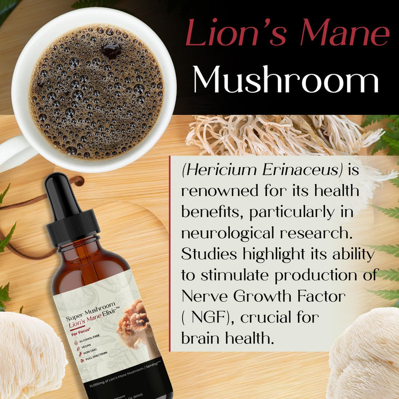 auri-lions-mane-liquid-elixir---brain-supplements-for-memory-and-focus-with-functional-mushrooms---lions-mane-supplement---full-spectrum-lions-mane-extract---no-gmo-vegan-mushroom-tincture-3