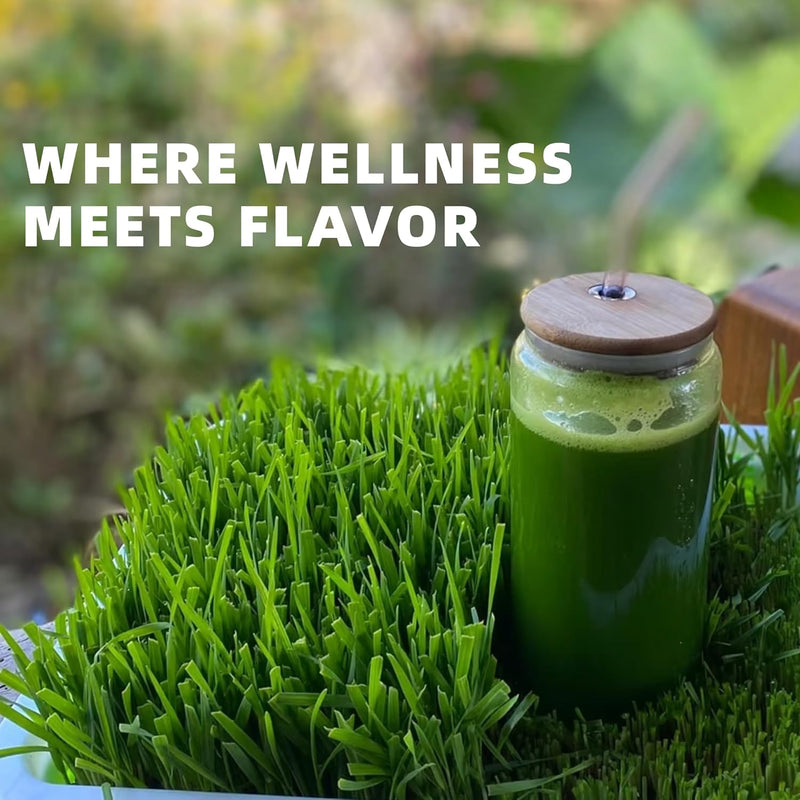 barley-grass-juice-powder-rich-in-vitamins-minerals-fibers-antioxidants-raw-clean-alkalizing-superfood-for-energy-immune-health-and-digestion---53-oz-2