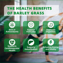barley-grass-juice-powder-rich-in-vitamins-minerals-fibers-antioxidants-raw-clean-alkalizing-superfood-for-energy-immune-health-and-digestion---53-oz-4