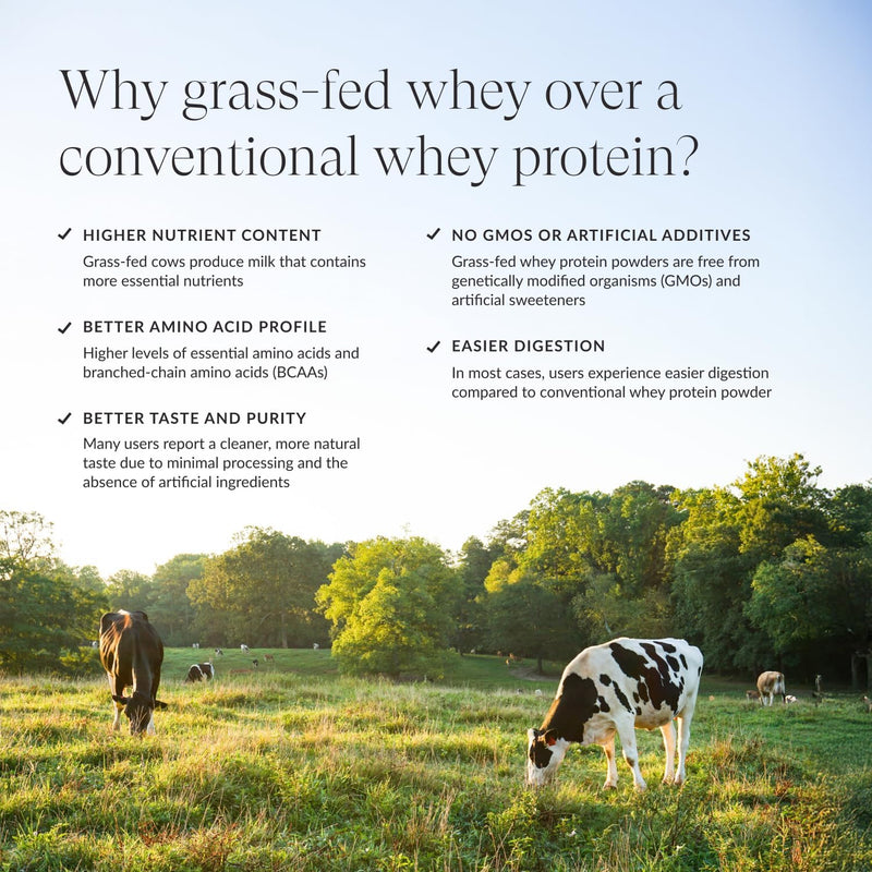 beam-grass-fed-whey-protein-powder-chocolate-peanu-5.jpg