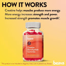 beava-creatine-monohydrate-gummies---strawberry-fl-5.jpg