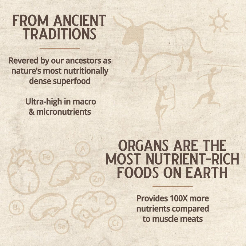 beef-brain-1500-mg-brain-1500-mg-30-servings-5.jpg