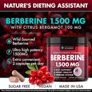 berberine-hcl-supplement-1500-mg-high-potency-vega-2.jpg
