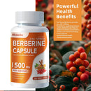berberine-supplement---berberine-1500mg-per-servin-5.jpg