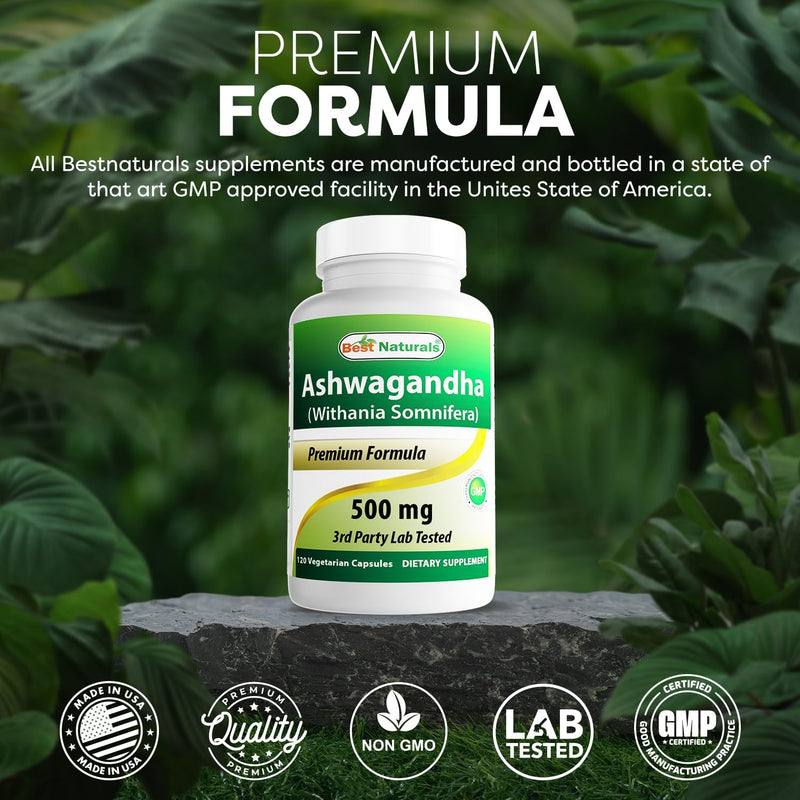 best-naturals-ashwagandha-extract-500-mg-120-capsules-pack-of-2-4