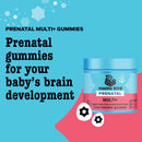 best-nest-wellness-mama-bird-prenatal-multi-plus---prenatal-care-supplement-supports-brain-digestive-health---vegan-multivitamin-with-methylfolate-more---strawberry-60-gummies-30-servings-1