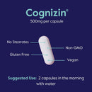 bestvite-cognizin-500mg-180-vegetarian-capsules-60x3---clinically-studied-premium-choline-nootropic---no-stearates---vegan---non-gmo---gluten-free---brain-supplements-for-memory-and-focus-5