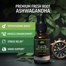 bioactive-liquid-ashwagandha-for-men-testosterone--3.jpg