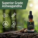 bioactive-liquid-ashwagandha-for-men-testosterone--7.jpg