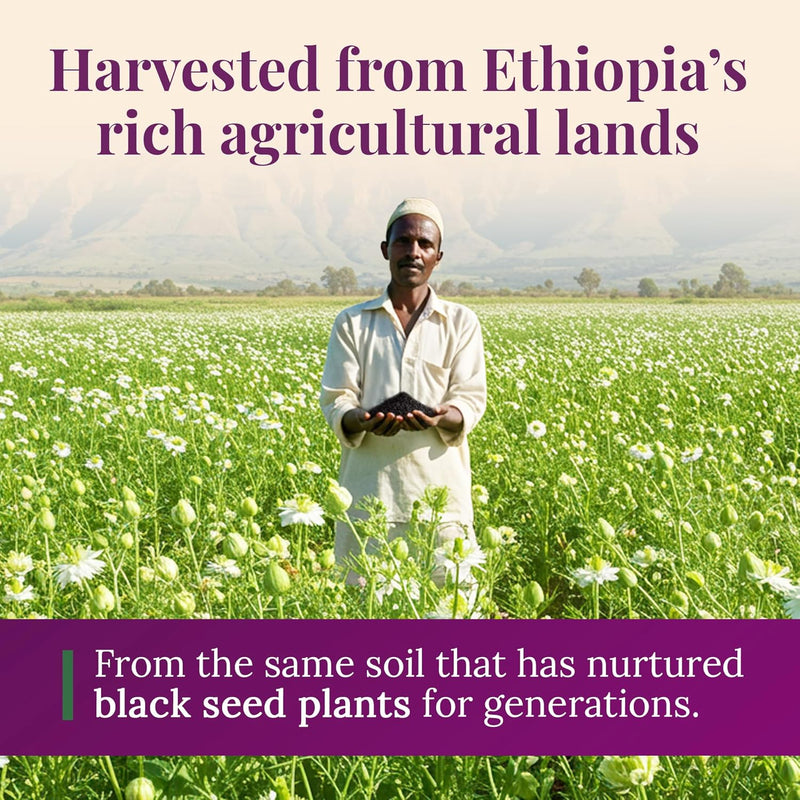 bionatal-ethiopian-black-seed-oil-16oz-glass-up-to-7.jpg