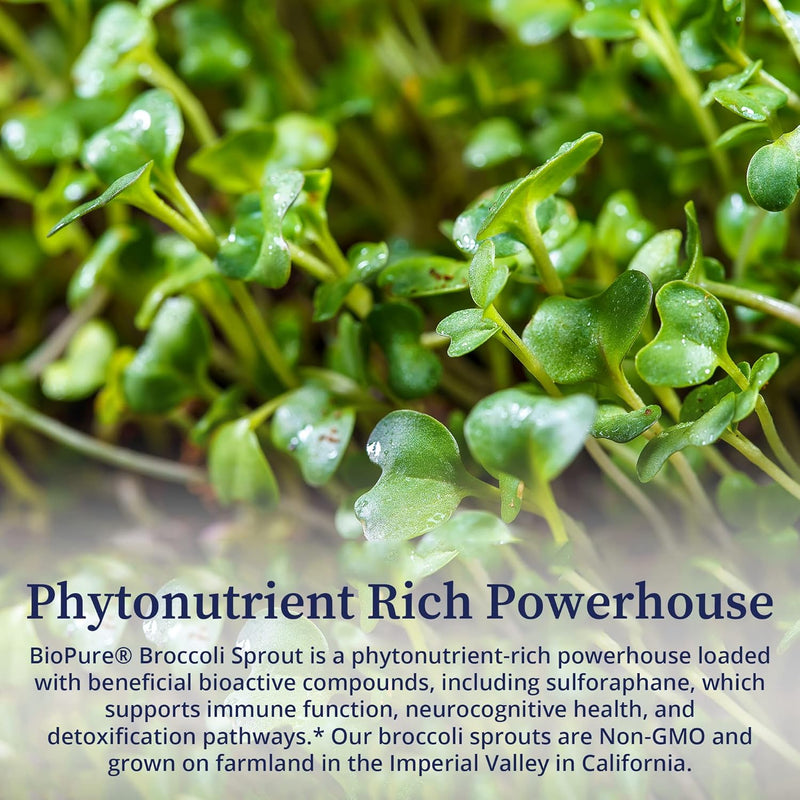 biopure-broccoli-sprout-supplement-phytonutrient-r-5.jpg