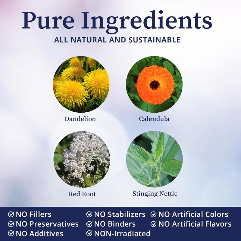 biopure-lymphatic-detox-herbal-support-for-lymph-flow-circulation-immune-defense-natural-cleansing-organic-plant-based-formula-for-hydration-balance-well-being-4-fl-oz-2