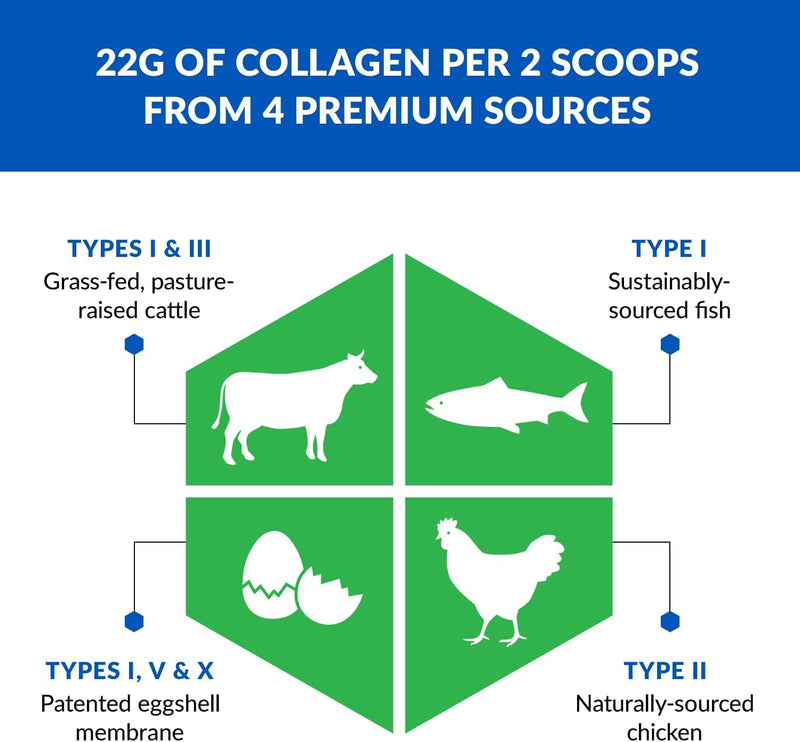 biotrust-ageless-multi-collagen-peptides-powder-5-types-i-ii-iii-v-x-chocolate-collagen-powder-for-women-men-hydrolyzed-protein-grass-fed-beef-fish-chicken-eggshell-membrane-4