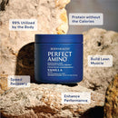 bodyhealth-perfectamino-powder---bcaa-and-eaa-powd-3.jpg