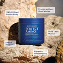 bodyhealth-perfectamino-powder---bcaa-and-eaa-powd-3.jpg