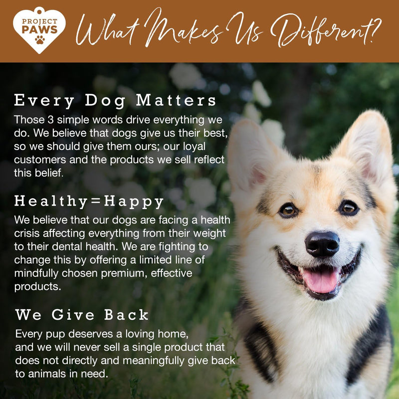 bone-broth-for-dogs-with-powdered-elk-antler-and-bone---collagen-and-mineral-rich-food-topper-for-dogs---whole-food-superfood-powder-multivitamin-for-dogs---4-oz-6