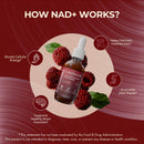 boost-labs-liposomal-nad-supplement---fast-absorvi-3.jpg