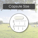 bovine-colostrum-capsules-1000mg-capsules-with-lactoferrin-supplement-bovine-colostrum-supports-immune-system-gut-health-respiratory-system---60-bovine-colostrum-capsules-by-aamatec-life-7