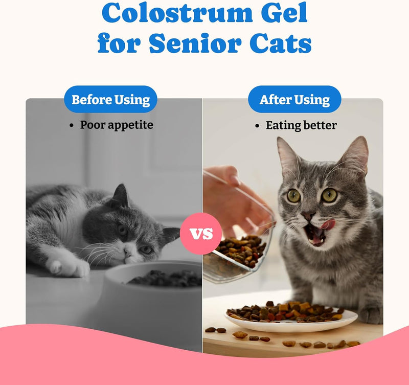 bovine-colostrum-nutritional-gel-for-dog-cat---high-calorie-supplement-for-dogs-and-cats-support-appetite-for-cat-immune-support-dog-weight-gainer-senior-dogs-cats-supplement-2
