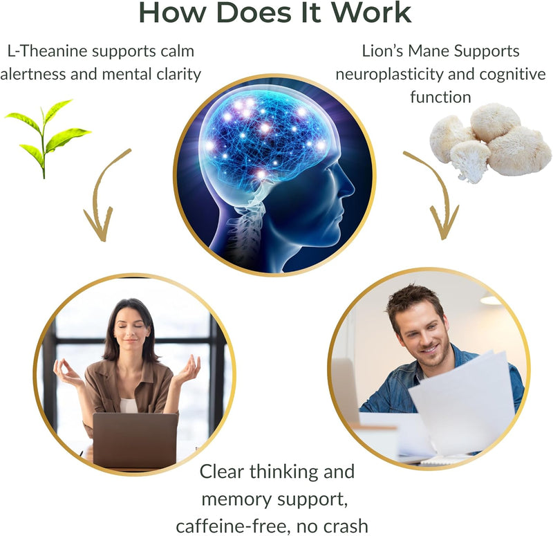 brain-boost-focus-gummies-lions-mane-l-theanine-no-4.jpg