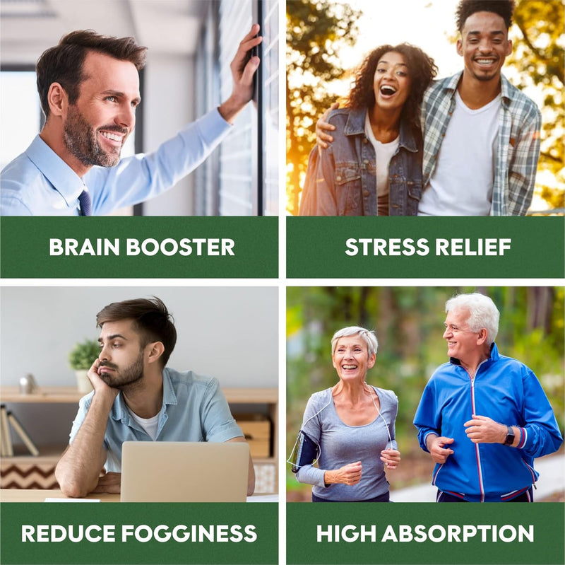 brain-booster-nootropics---brain-shield-with-ginkgo-biloba-alpha-gpc-and-bacopa-monnieri-vitamin-b12-b3---support-focus-memory-clarity-energy-stress-relief-1-2
