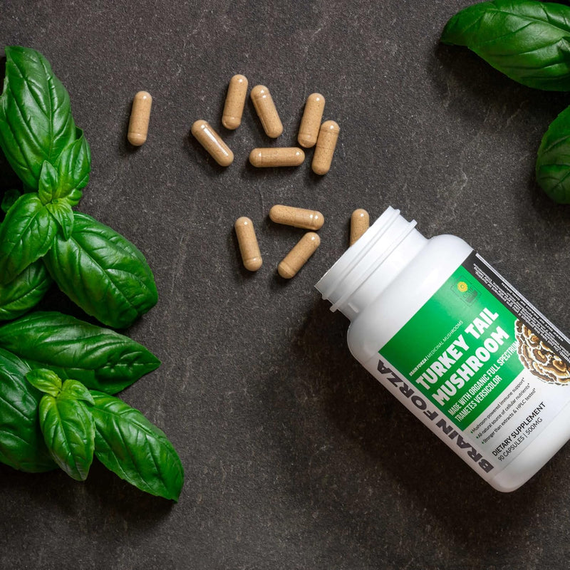 brain-forza-organic-turkey-tail-mushroom-capsules--9.jpg