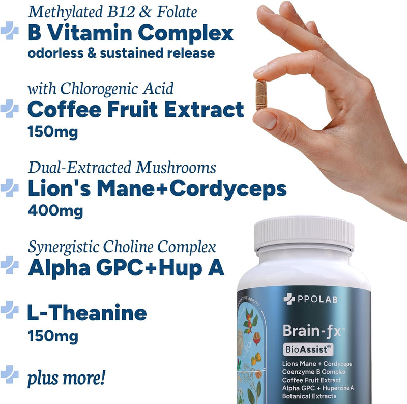 brain-fx-nootropic-brain-energy-memory-focus-supplement-lions-mane-extract-l-theanine-methyl-b12-5mthf-b-complex-alpha-gpc-choline-bacopa-monnieri-ginseng-cordyceps-huperzine-a-bdnf-factor-3