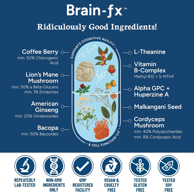 brain-fx-nootropic-brain-energy-memory-focus-supplement-lions-mane-extract-l-theanine-methyl-b12-5mthf-b-complex-alpha-gpc-choline-bacopa-monnieri-ginseng-cordyceps-huperzine-a-bdnf-factor-5