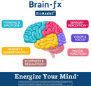 brain-fx-nootropic-brain-energy-memory-focus-supplement-lions-mane-extract-l-theanine-methyl-b12-5mthf-b-complex-alpha-gpc-choline-bacopa-monnieri-ginseng-cordyceps-huperzine-a-bdnf-factor-7