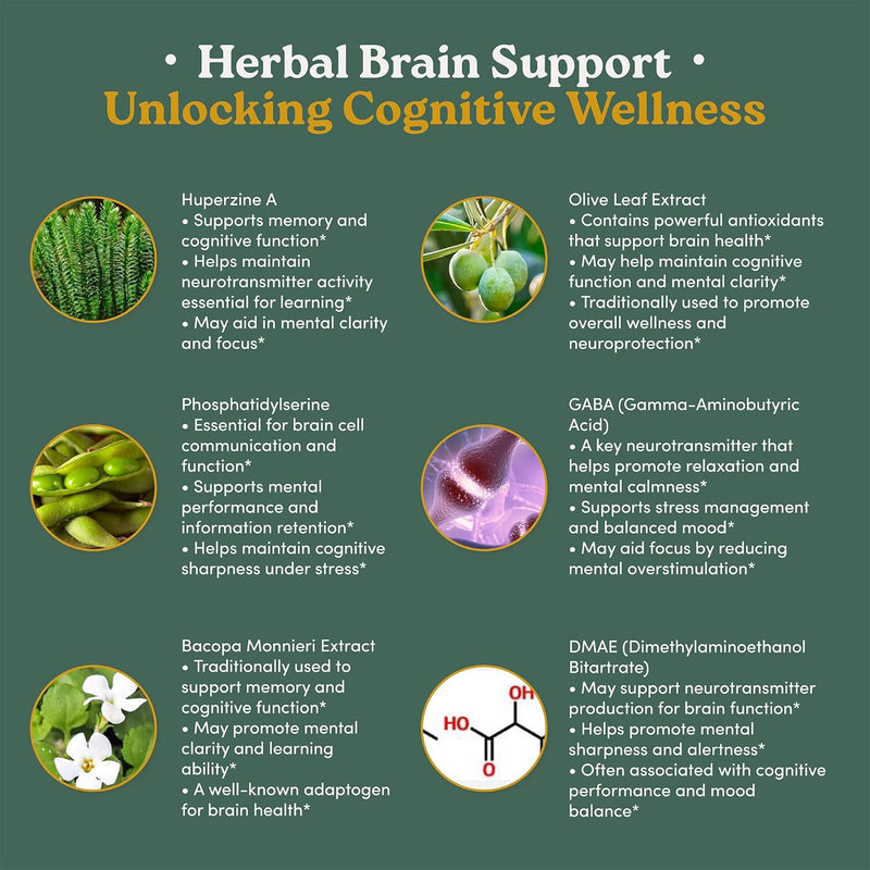 brain-supplements-for-memory-focus-nootropic-with-bacopa-monnieri-dmae-huperzine-a-phosphatidylserine-supports-mental-clarity-cognitive-function-vitamin-b6-b12-60-capsules-2