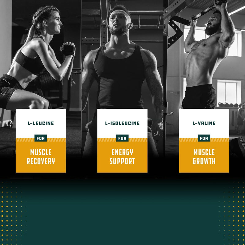 branch-chain-amino-acids-supplement---vegan-bcaa-t-6.jpg