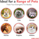 brilliant-omega-3-salmon-oil-for-dogs-cats---norwe-4.jpg