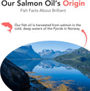 brilliant-omega-3-salmon-oil-for-dogs-cats---norwe-5.jpg