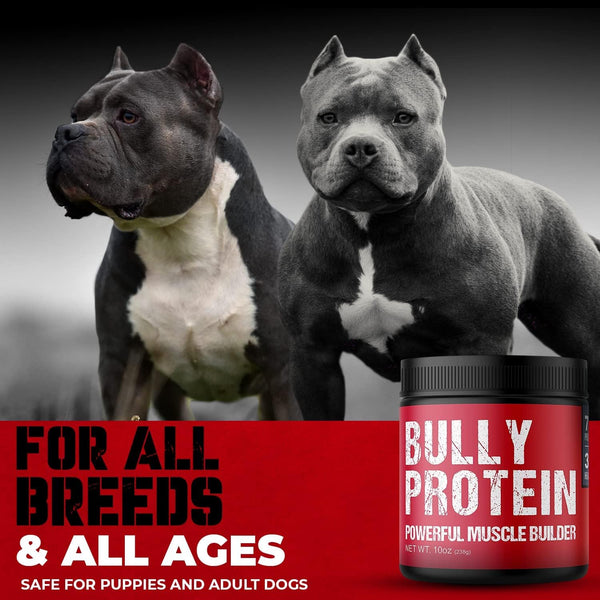 bulk-em-up-real-meat-bully-protein-muscle-bulker-283mg-pure-protein-powder-for-bullys-and-dogs-daily-protein-for-your-pitbull-fast-gains-30-day-supply-60-servings-bullydog-protein-1