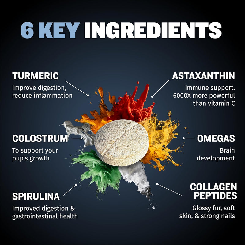 bully-max-small-breed-dog-immune-support-tablets---chewable-dog-multivitamin-immunity-booster-supplement-tabs-for-puppy-adult-dogs---pet-vitamins-with-astaxanthin-colostrum-turmeric---30-tablets-3