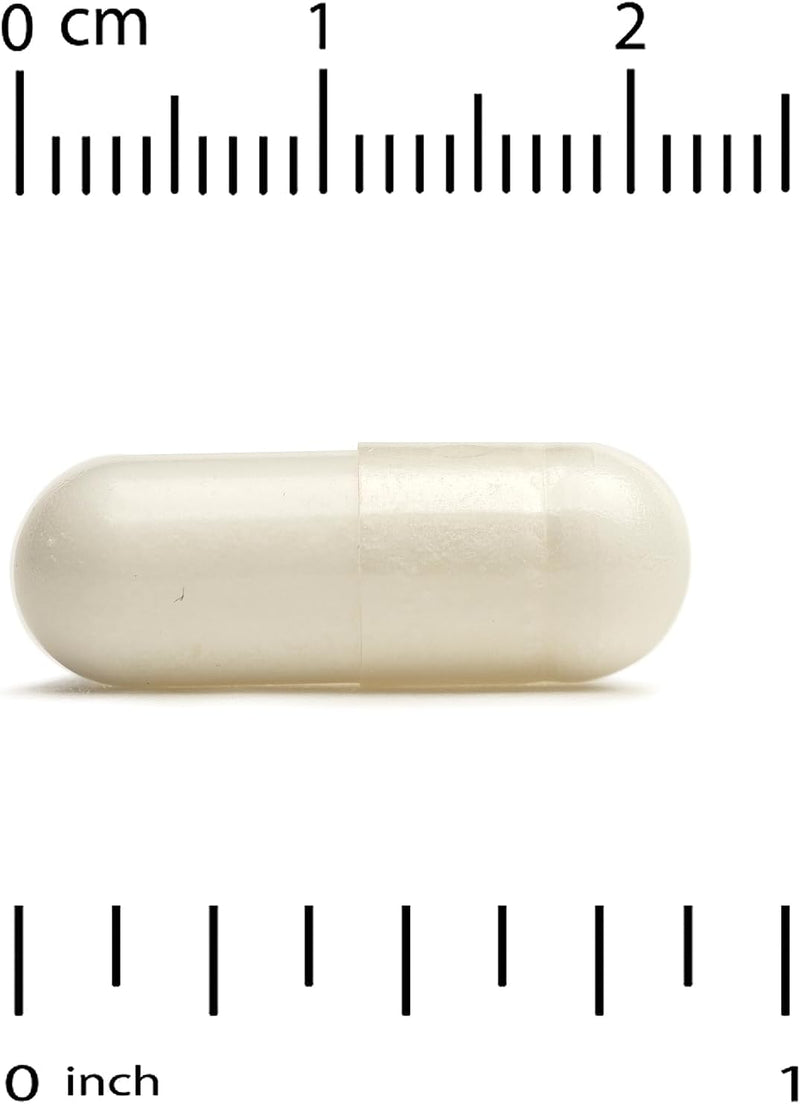 california-gold-nutrition-sport-creatine-750-mg-24-3.jpg